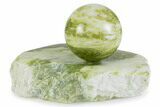 Polished Noble Serpentine Sphere with Base - Washington #372632-2